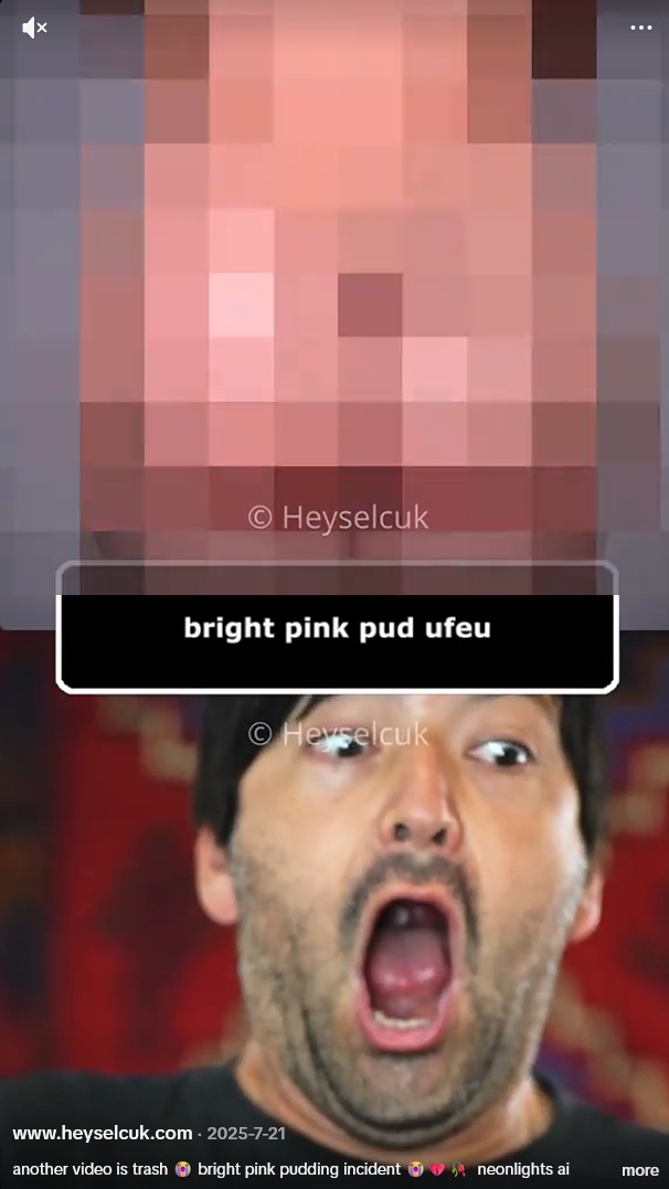 Bright Pink Pudding – 23M Views Viral TikTok Video by Heyselcuk